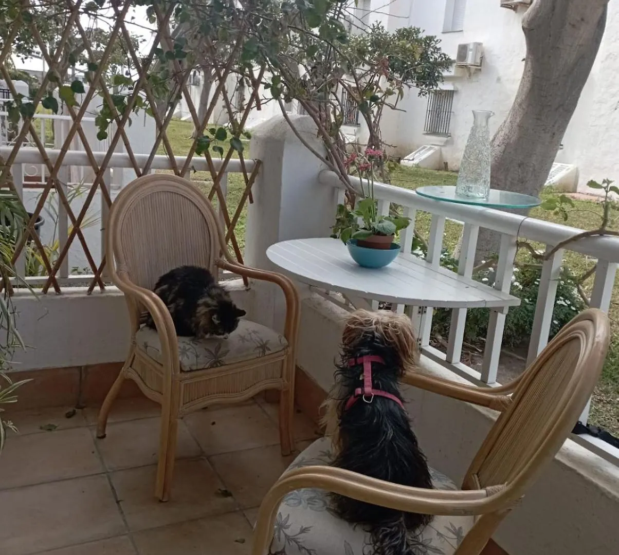 Apartment Apartamento Laguna Beach Torrox Costa Spain