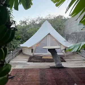 yurt-in-avocado-garden.tenerifehoteles.net/